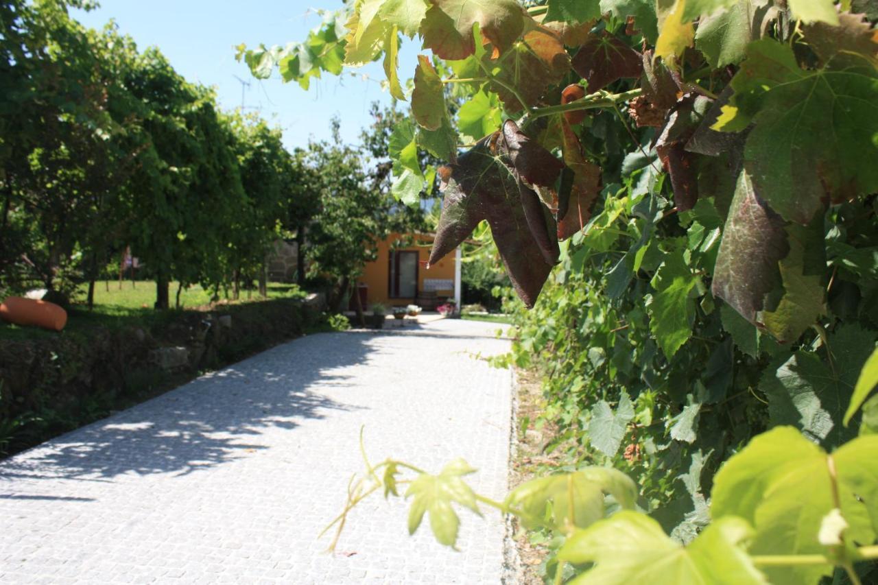 Villa Casa Matreiro à Prozelo Extérieur photo