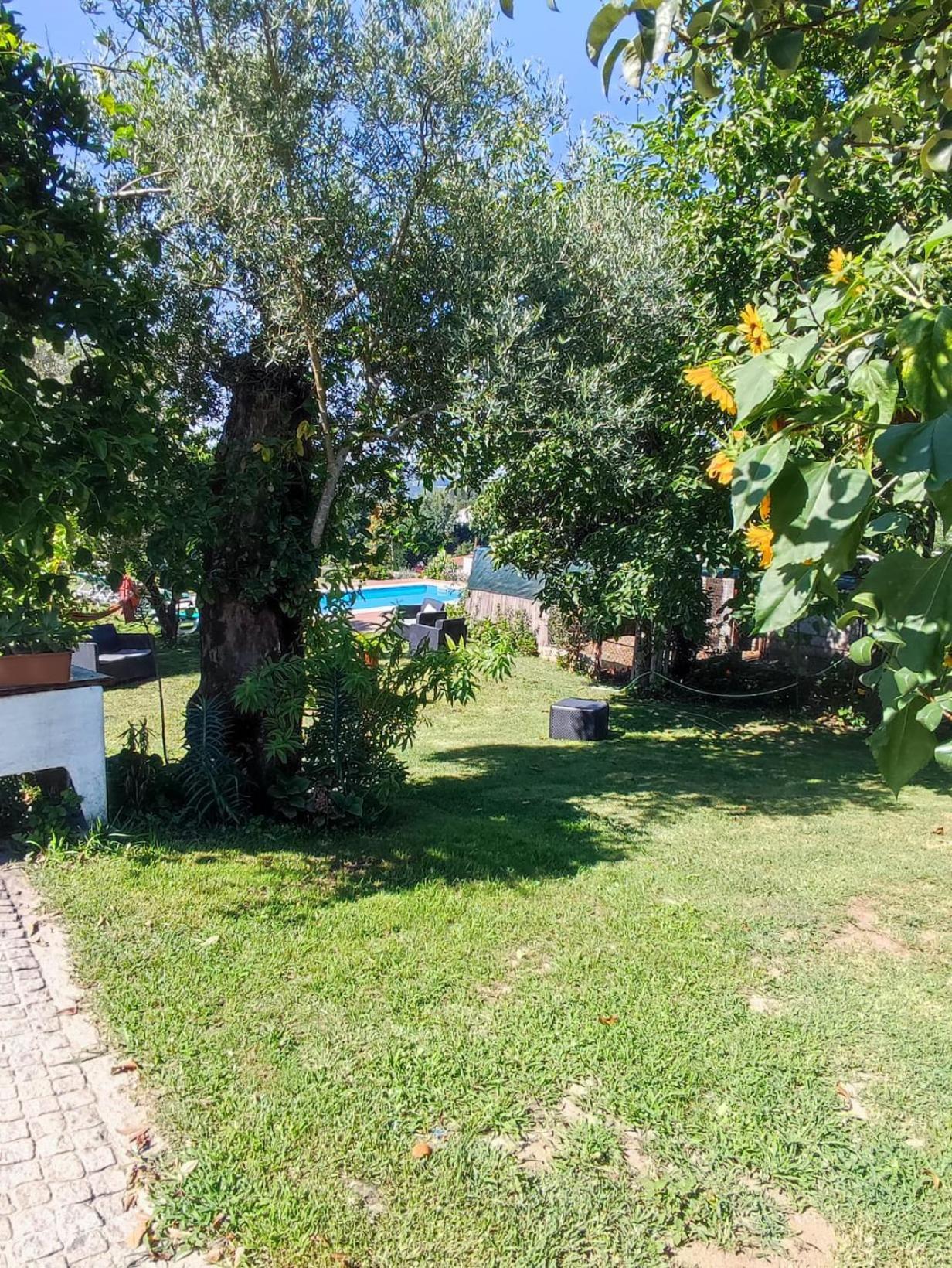 Villa Casa Matreiro à Prozelo Extérieur photo